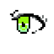 はい。目です。A