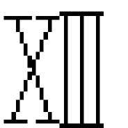 13