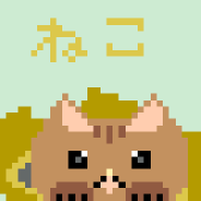 ダンボールに入った猫