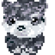 子犬(★*¨艸*)⌒Y⌒Y☆