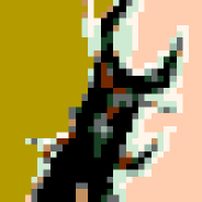 ノコギリクワ