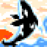 シャチ